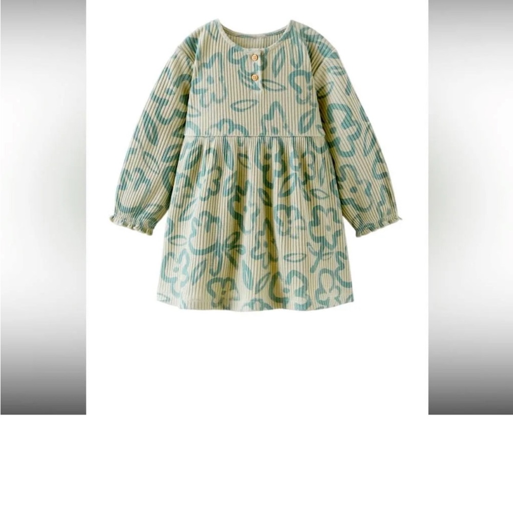 Toddler Girl Zara Dress